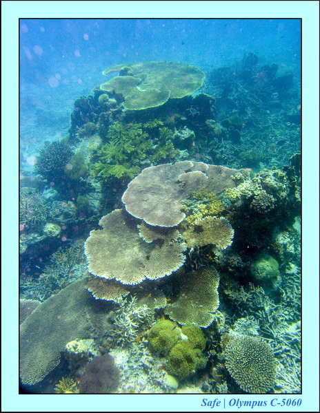 2008 - 07 - Leng Tengah - 067